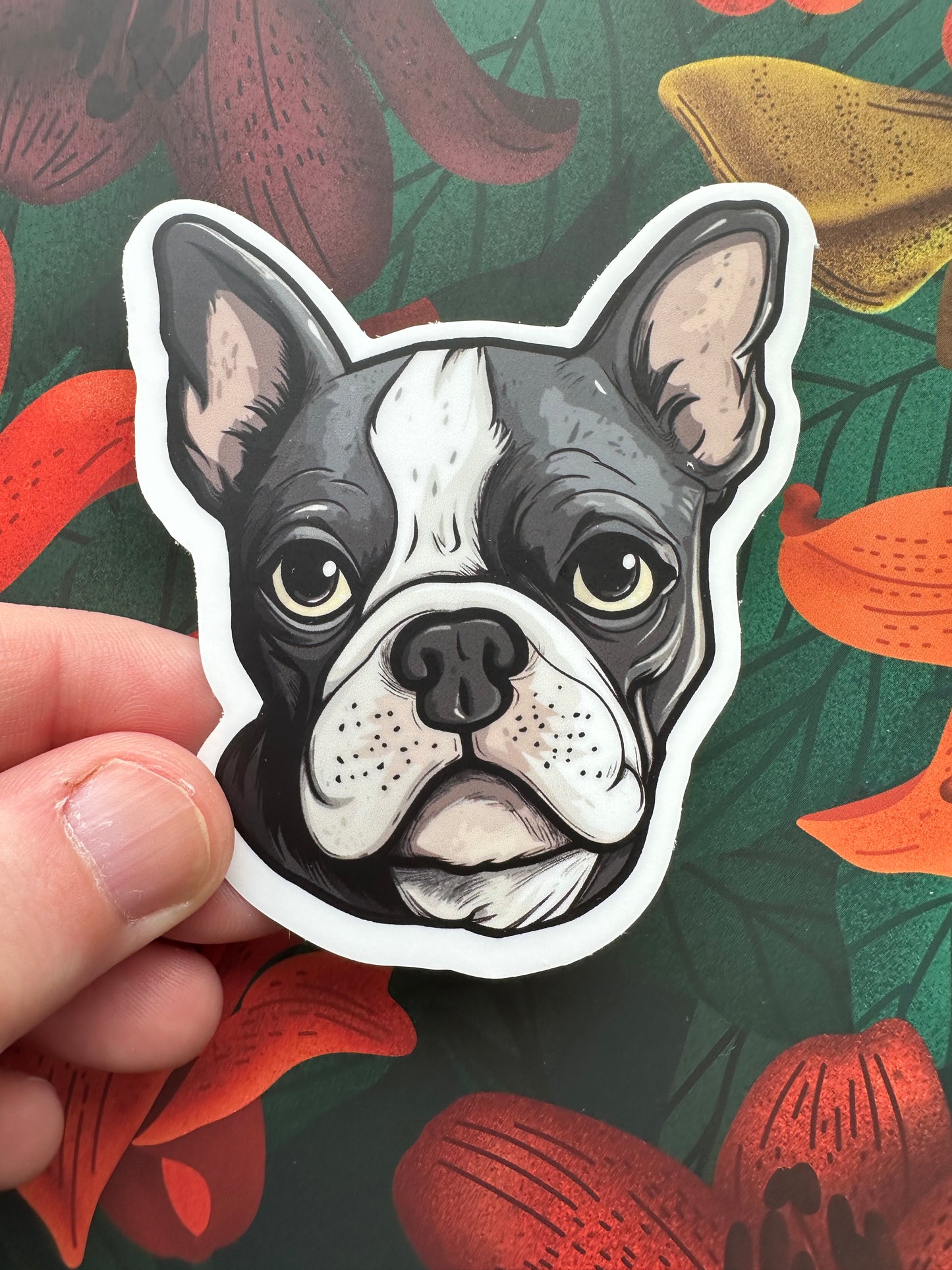 Boston Terrier Vinyl Sticker, 2.6" x 3"