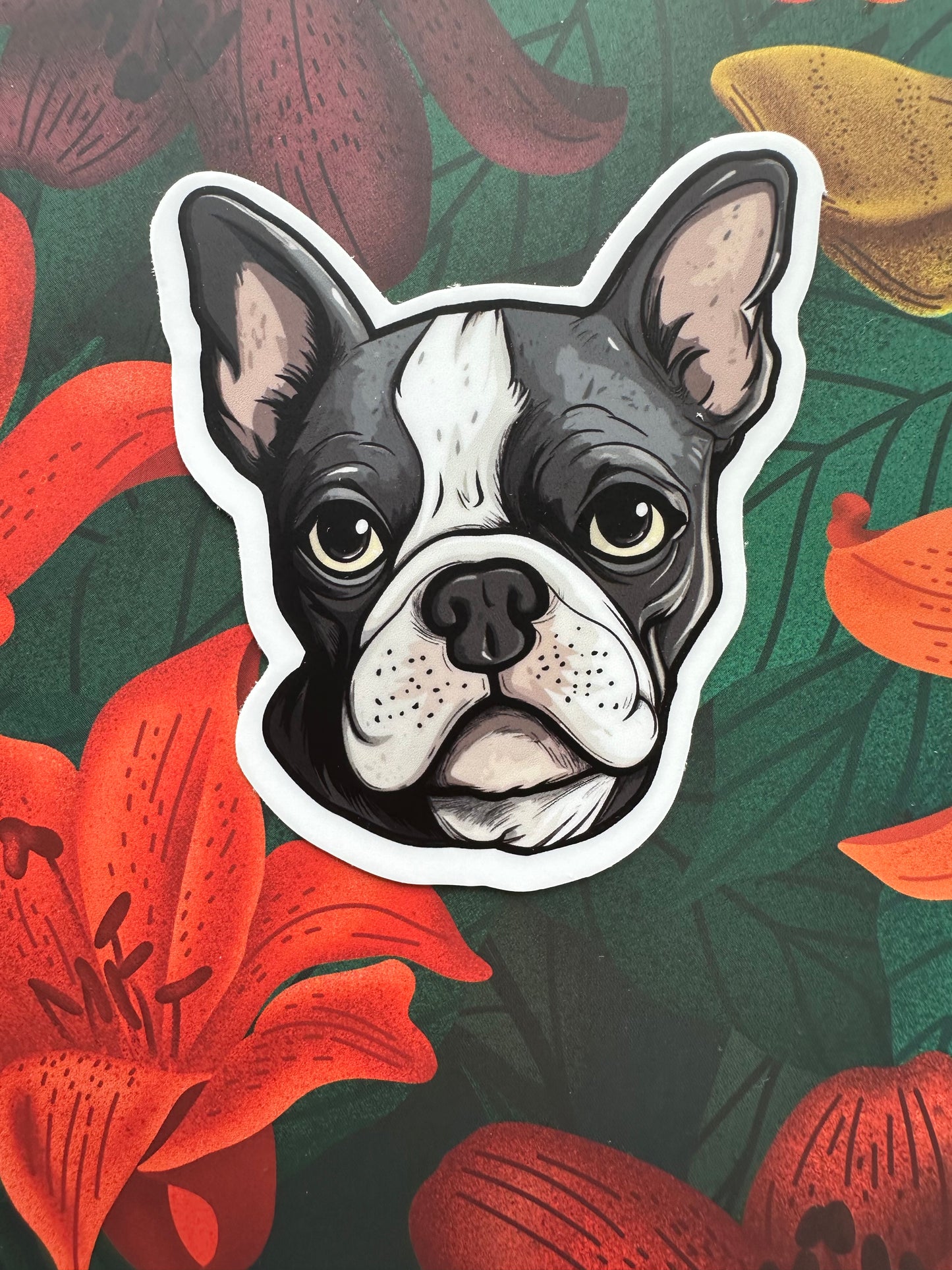 Boston Terrier Vinyl Sticker, 2.6" x 3"